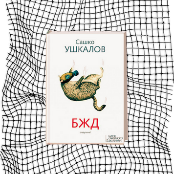 БЖД БК-1168 фото