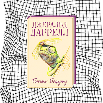 Гончаки Бафуту БК-1151 фото